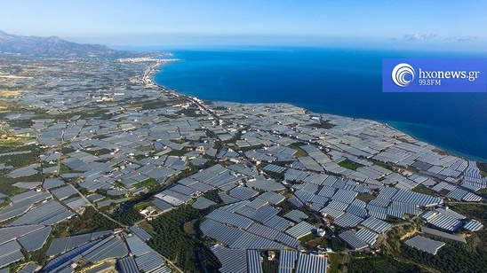 Image: Βαρδάκης - Αραχωβίτης: Σε απόγνωση οι παραγωγοί θερμοκηπιακών καλλιεργειών στην Κρήτη