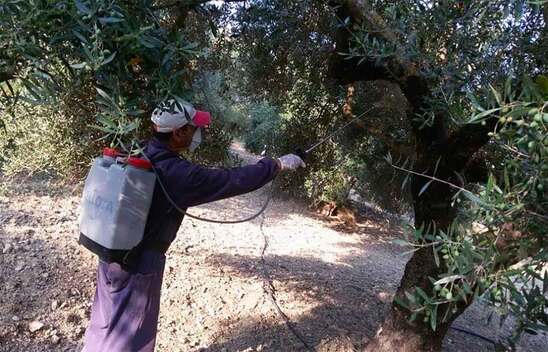 Image: Ψεκασμοί δακοκτονίας σε περιοχές του Δήμου Ιεράπετρας