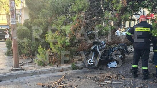 Image: Τραγωδία στο Ηράκλειο  : Νεκρός o οδηγός μηχανής που καταπλακώθηκε από δέντρο