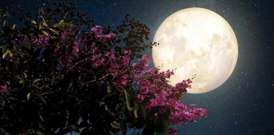 Image: Διπλή πανσέληνος τον Οκτώβριο: Απόψε η πρώτη - Πότε έρχεται η «Μπλε Σελήνη»