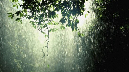 Image: «Πλούσιες» βροχοπτώσεις στο νησί – Ποιες περιοχές θα «δώσουν» το περισσότερο νερό;