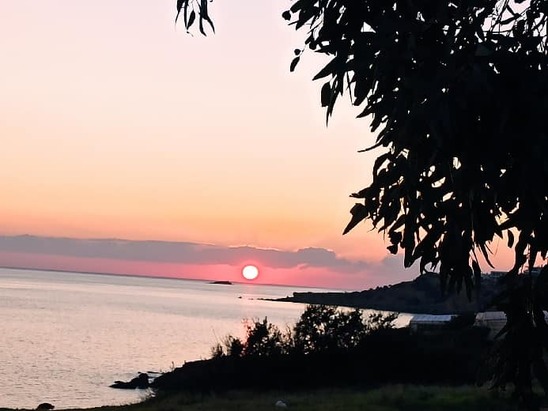 Image: Εστιατόριο ταβέρνα "Γαλήνη" στα Αχλιά: Ανοιχτά από Δευτέρα 3 Μαΐου
