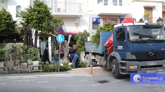 Image: Κόβονται όσα δέντρα έχουν απομείνει στην Ιεράπετρα