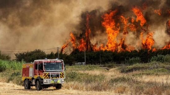 Image: Ελιές, μελίσσια, πρόβατα και χορτολιβαδική έκταση αποτέφρωσαν οι φλόγες στο νότιο Ρέθυμνο