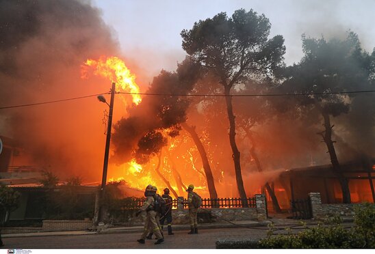 Image: Συλλογή τροφίμων  για τους πυρόπληκτους από τους συνταξιούχους ΙΚΑ  του Λασιθίου 