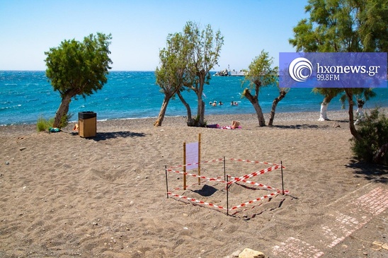 Image: Τραβούν τα βλέμματα οι χελώνες σε παραλίες της Ιεράπετρας - Πως τις προστατεύουμε