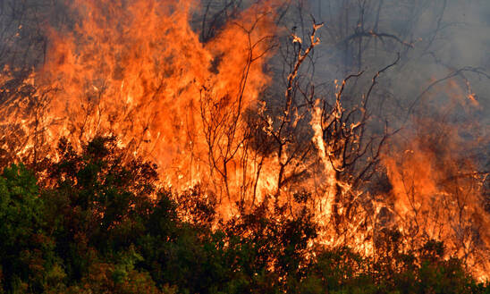 Image: Πολύ υψηλός κίνδυνος πυρκαγιάς την Παρασκευή στο Λασίθι