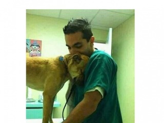 hxonews Στην φωτογραφία ο κτηνίατρος Κωστής Τερεζάκης, που έσωσε τον σκύλο