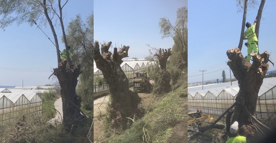 Image: Το ευχαριστώ Ζαχαρόπουλου σε Γουλιδάκη για τη μελέτη διάβρωσης της ακτογραμμής και το κλάδεμα δέντρων  