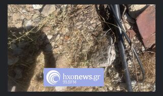 hxonews 
