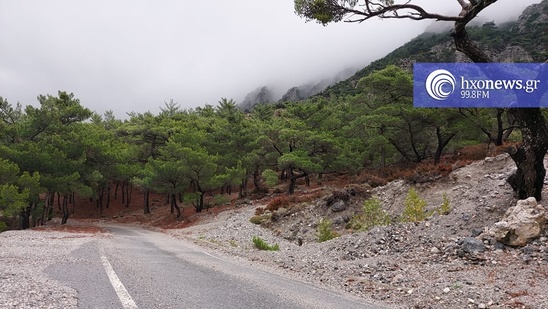 Image: Δασικοί χάρτες: Παράταση 6 μηνών στη διαδικασία υποβολής αντιρρήσεων