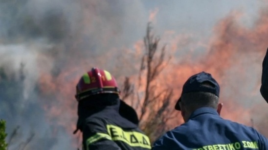 Image: Πυρκαγιά στον Ψηλορείτη - Άμεση η κινητοποίηση της Πυροσβεστικής