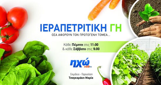 Image: Ο λογαριασμός της χρονιάς στα κηπευτικά: Οι φετινές τιμές ανά προϊόν και η σύγκριση με πέρσι
