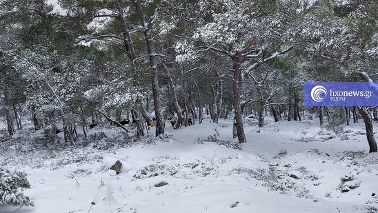 Image: Συνεχίζεται η χιονόπτωση στα ορεινά του Δήμου Ιεράπετρας
