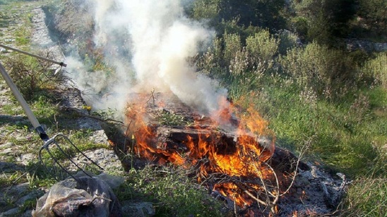 Image: Πολιτική Προστασία Ιεράπετρας | Απαγόρευση καύσης έως τις 15 Νοεμβρίου 2024