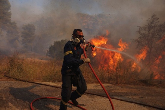 Image: Η Ομοσπονδία Γυναικών Ελλάδας για τις καταστροφικές πυρκαγιές στη βορειοανατολική Αττική