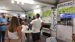 hxonews