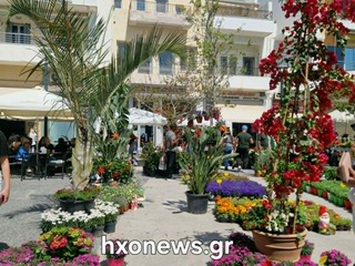 hxonews