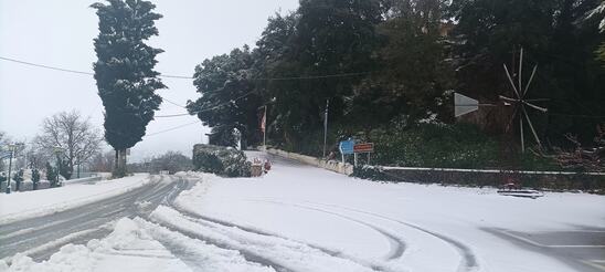 Image: Όμορφες εικόνες από το Οροπέδιο Λασιθίου «ντυμένο» στα λευκά