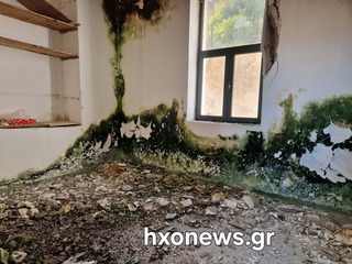 hxonews