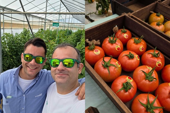 Image: Η Hazera παρουσιάζει στην Ιεράπετρα το νέο υβρίδιο ντομάτας Donaluce με αντοχή στην καστανή ρυτίδωση