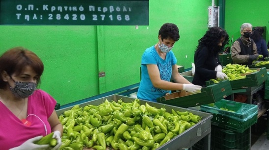 Image: Προσπάθεια σπίλωσης Ο.Π. Κρητικό Περβόλι