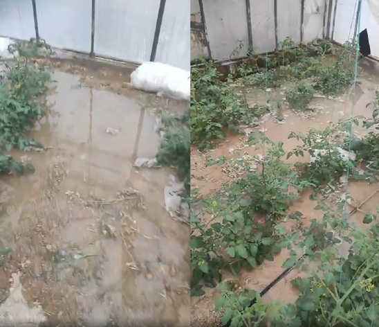 Image: Χωρίς σημαντικές ζημιές στα θερμοκήπια της Ιεράπετρας από την έντονη βροχόπτωση 