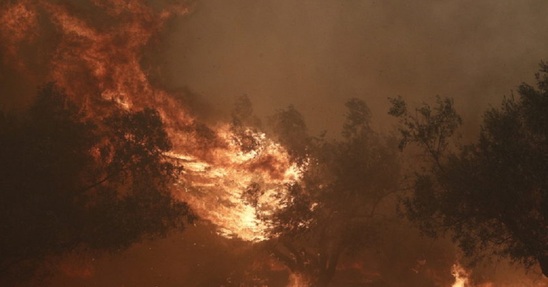 Image: Μεγάλη προσοχή για πυρκαγιές: Ισχυροί έως θυελλώδεις νότιοι άνεμοι και υψηλές θερμοκρασίες στην Κρήτη