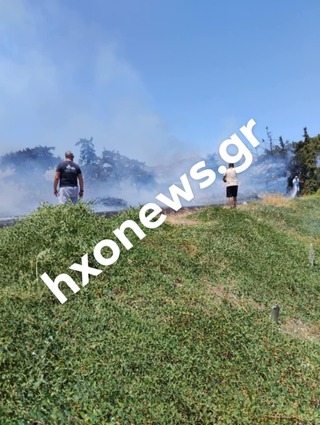 hxonews