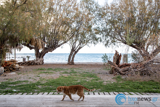 Image: Πού δεν θα κολυμπήσουμε αυτό το καλοκαίρι στο Λασίθι