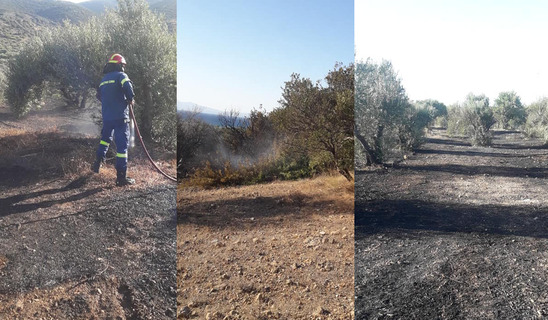 Image: Προβληματίζουν την Π.Υ. Ιεράπετρας οι φωτιές των τελευταίων χρόνων μεταξύ Παχειάς Άμμου – Βασιλικής