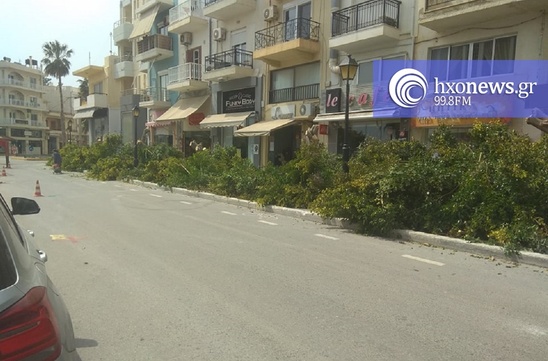 Image: Έγγραφο διαμαρτυρίας για την κοπή δέντρων στο Δημοτικό Συμβούλιο Ιεράπετρας από την Κίνηση Ενεργών Πολιτών