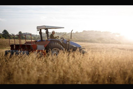 Image: Αγρότες: Άνοιξε η εφαρμογή στο Gov.gr για την υποβολή δηλώσεων ΟΣΔΕ 2023