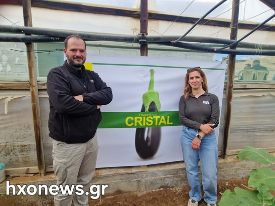 Image: Η Fito Hellas παρουσιάζει στην Ιεράπετρα το νέο υβρίδιο μελιτζάνας « Dark Knight»