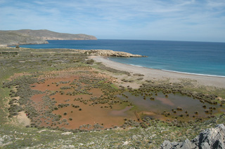 hxonews Φωτογραφία WWF, το Έλος Καρουμών, Χοχλακιές Δήμου Σητείας(KRI008) εντός της Προστατευόμενης Περιοχής NATURA2000: ΒΟΡΕΙΟΑΝΑΤΟΛΙΚΟ ΑΚΡΟ ΚΡΗΤΗΣ: ΔΙΟΝΥΣΑΔΕΣ, ΕΛΑΣΑ ΚΑΙ ΧΕΡΣΟΝΗΣΟΣ ΣΙΔΕΡΟ (ΑΚΡΑ ΜΑΥΡΟ ΜΟΥΡΙ – ΒΑΪ – ΑΚΡΑ ΠΛΑΚΑΣ) ΚΑΙ ΘΑΛΑΣΣΙΑ ΖΩΝΗ (GR4320006)