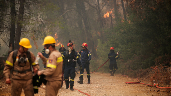 Image: Πυρκαγιές Αττικής: Στη ΜΕΘ διασωληνωμένοι δύο εθελοντές πυροσβέστες
