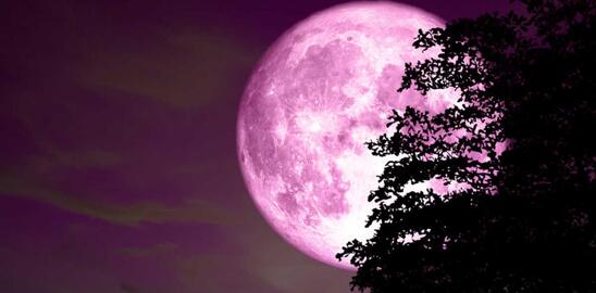 Image: Ροζ πανσέληνος: Σήμερα το πρώτο φωτεινό φεγγάρι της Άνοιξης - Τι ώρα θα είναι ορατό