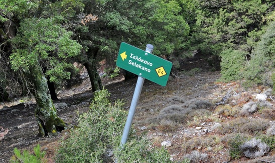 Image: Σοβαρές καθυστερήσεις και αστοχίες στο έργο για την πρόσβαση στο Σελάκανο