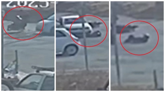 Image: Σοκαριστικό βίντεο από τροχαίο στην Ιεράπετρα: Οδηγός μηχανής πέφτει στο έδαφος μετά από σύγκρουση και δεύτερο ΙΧ περνάει από πάνω του!