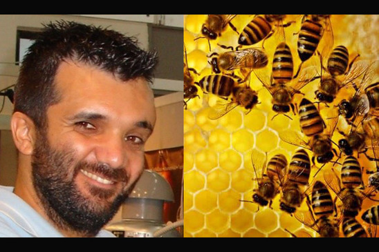 Image: Ε. Αλυσσανδράκης: Μυστικά για τη διατροφή της μέλισσας τον χειμώνα