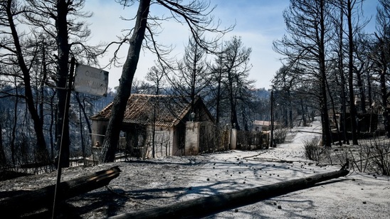 Image: Την Τετάρτη  αποστολή βοήθειας από την Ιεράπετρα στους πυρόπληκτους - Πως μπορείτε να βοηθήσετε