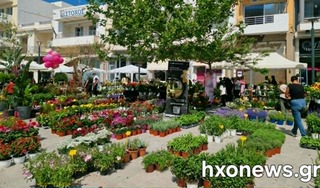 hxonews