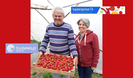 Image: Η Bio-insecta στην πρώτη γραμμή της βιολογικής φυτοπροστασίας με ελληνικά ωφέλιμα έντομα και καινοτόμες λύσεις για τους παραγωγούς