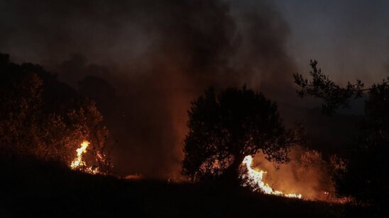 Image: Φωτιά σε δασική έκταση στην Ικαρία: Αίτημα από τον Δήμο για προληπτική εκκένωση οικισμών