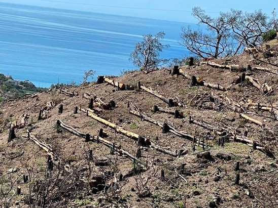 Image: Ολοκληρώθηκαν τα έργα αντιπλημμυρικής προστασίας στις πυρόπληκτες περιοχές της νότιας Ιεράπετρας