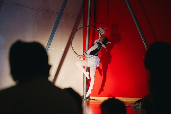 Image: «Η Λίμνη των Κύκνων» για βρέφη και νήπια ταξιδεύει στην Ιεράπετρα