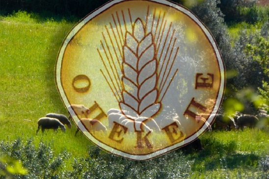 Image: ΟΠΕΚΕΠΕ: Η Κομισιόν οριστικοποιεί πρόστιμο 392 εκατ. ευρώ για παράνομες επιδοτήσεις