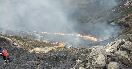 Image: Υπό πλήρη έλεγχο η φωτιά στο Οροπέδιο Λασιθίου - Κάηκαν 200 στρ. δασικής έκτασης