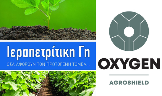 Image: Tuta absoluta: Η λύση της OXYGEN AGROSHIELD - Νέα τεχνολογία στην προστασία της ντομάτας