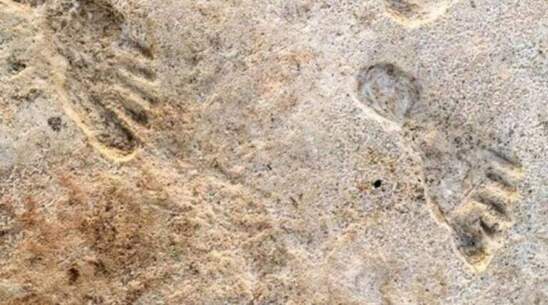 Image: Στην Κρήτη οι αρχαιότερες πατημασιές προγόνων του ανθρώπου ηλικίας 6,5 εκατ. χρόνων